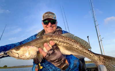 Marsh Tails Edition #3 – July 2025