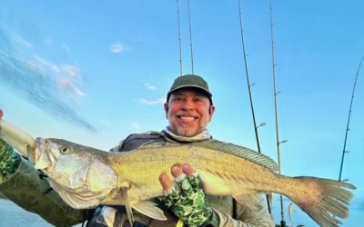 Marsh Tails Edition #5 – September 2025