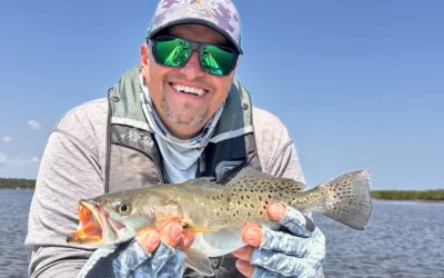 Marsh Tails Edition #6 – October 2025