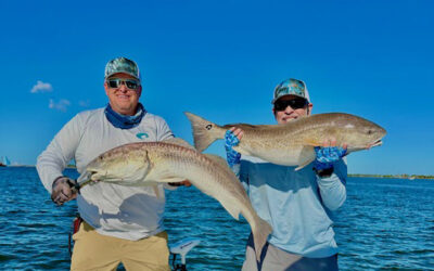 Marsh Tails Edition #7 – November 2025