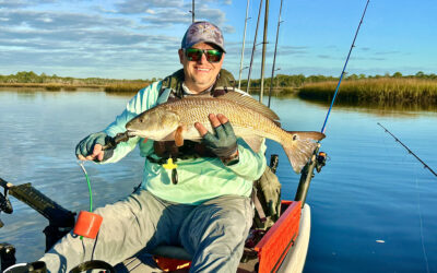 Marsh Tails Edition #8 – December 2025