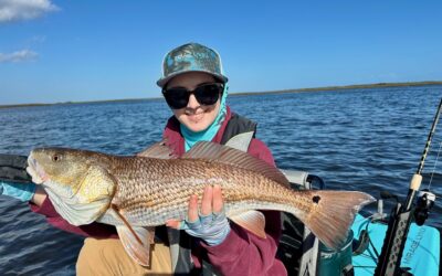 Marsh Tails Edition #9 – January 2026