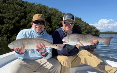 Marsh Tails Edition #12 – April 2026