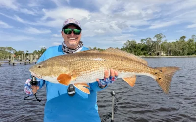Marsh Tails Edition #14 – June 2026